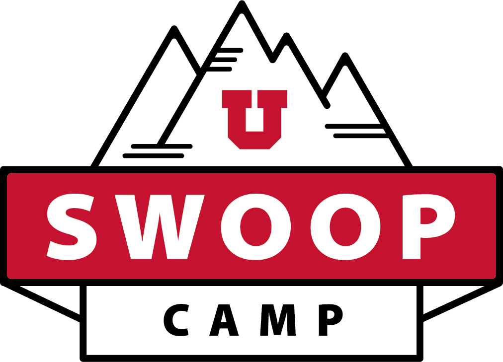 Swoop Camp 2019 Banner