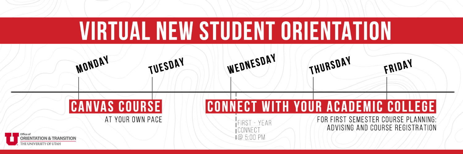 First Year NSO Timeline